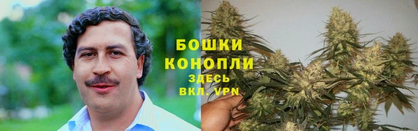 гидропоника Беломорск