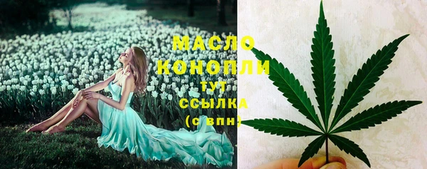 индика Белая Холуница