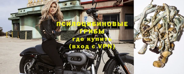 прущая мука Белокуриха