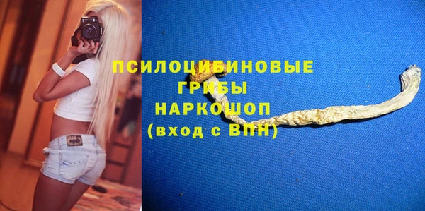 стаф Богородск