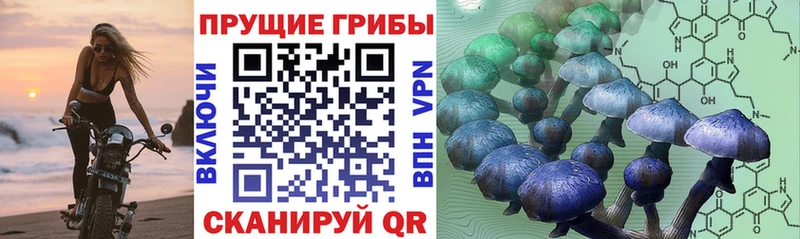 Псилоцибиновые грибы прущие грибы  Вуктыл 